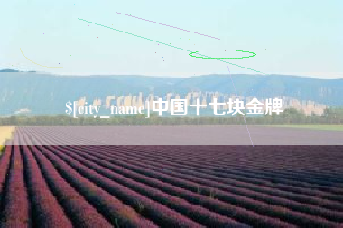 海安中国十七块金牌