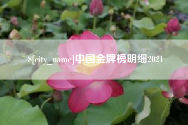 海安中国金牌榜明细2021