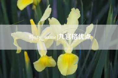 海安九宫格优点