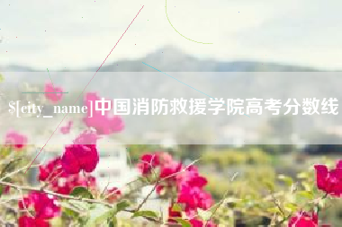 海安中国消防救援学院高考分数线