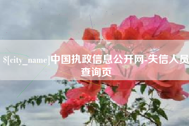 海安中国执政信息公开网-失信人员查询页