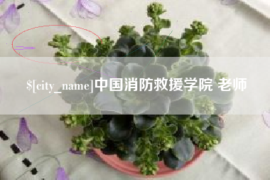 海安中国消防救援学院 老师