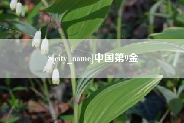 海安中国第9金