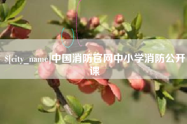 海安中国消防官网中小学消防公开课