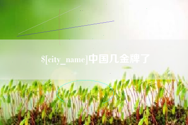 海安中国几金牌了