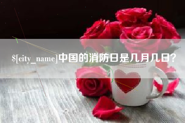 海安中国的消防日是几月几日？