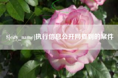 海安执行信息公开网查到的案件