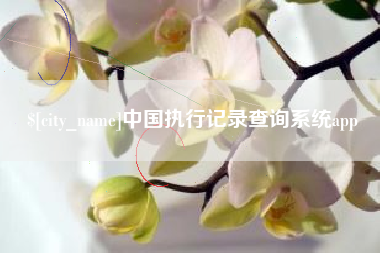 海安中国执行记录查询系统app