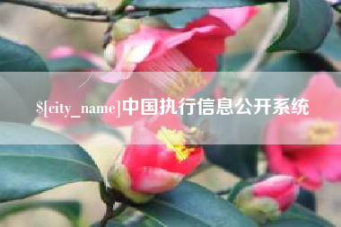 海安中国执行信息公开系统