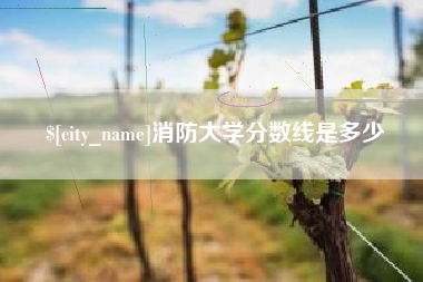 海安消防大学分数线是多少