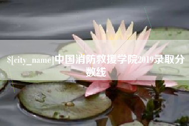 海安中国消防救援学院2019录取分数线