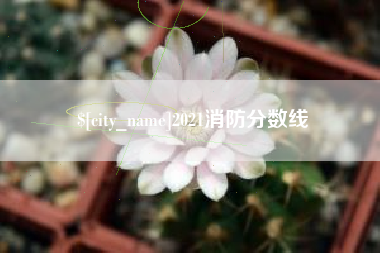 海安2021消防分数线