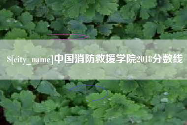 海安中国消防救援学院2018分数线