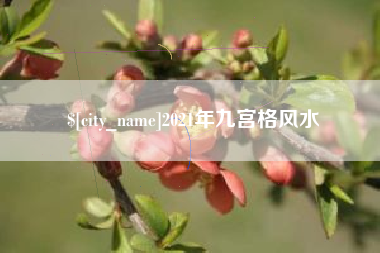 海安2021年九宫格风水