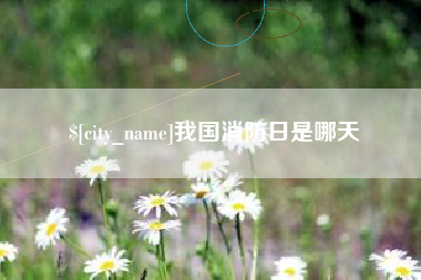 海安我国消防日是哪天