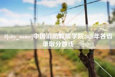 海安中国消防救援学院2020年各省录取分数线