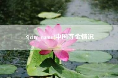 海安中国夺金情况