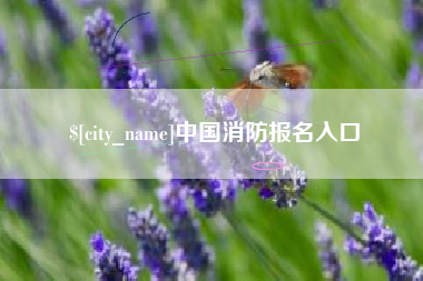 海安中国消防报名入口