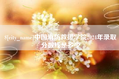 海安中国消防救援学院2024年录取分数线是多少
