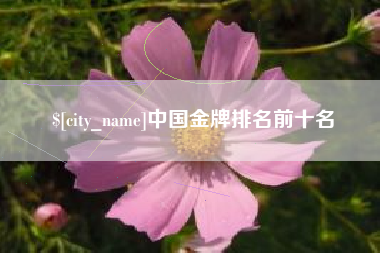 海安中国金牌排名前十名