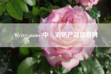 海安中囯消防产品信息网