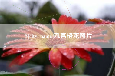 海安九宫格龙图片