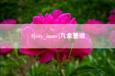 海安九金是谁