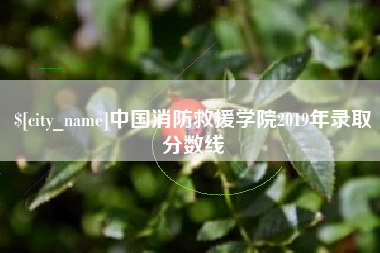 海安中国消防救援学院2019年录取分数线
