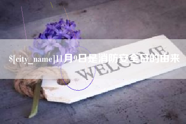海安11月9日是消防安全日的由来