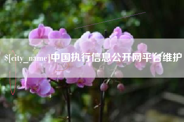 海安中国执行信息公开网平台维护
