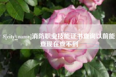 海安消防职业技能证书查询以前能查现在查不到