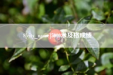 海安5000米及格成绩