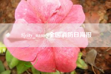 海安全国消防日海报