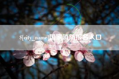 海安国家消防报名入口