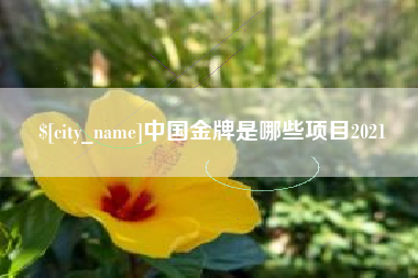 海安中国金牌是哪些项目2021