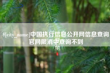 海安中国执行信息公开网信息查询官网限消中查询不到