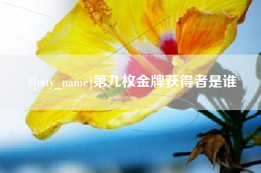 海安第九枚金牌获得者是谁