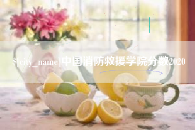 海安中国消防救援学院分数2020
