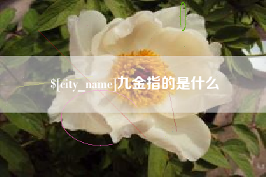 海安九金指的是什么