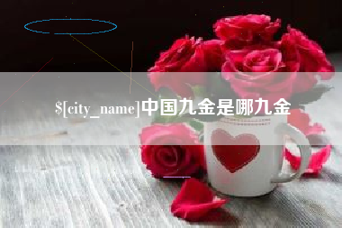 海安中国九金是哪九金