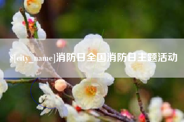 海安消防日全国消防日主题活动