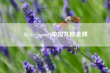 海安中国九枚金牌