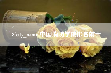 海安中国消防学院排名前十