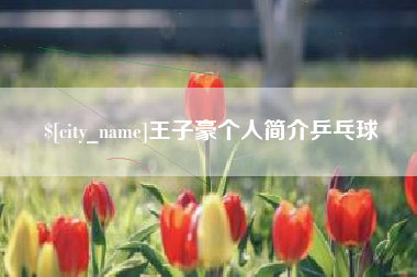 海安王子豪个人简介乒乓球