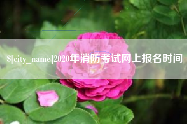 海安2020年消防考试网上报名时间