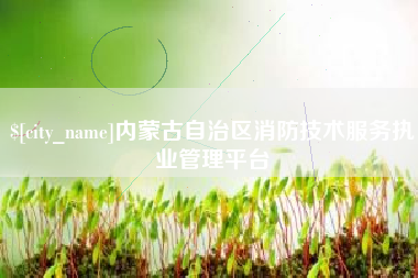海安内蒙古自治区消防技术服务执业管理平台