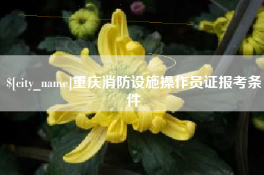 海安重庆消防设施操作员证报考条件