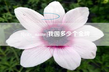 海安我国多少个金牌
