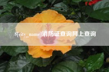 海安消防证查询网上查询
