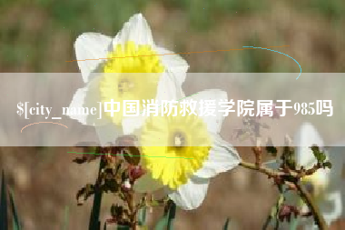 海安中国消防救援学院属于985吗